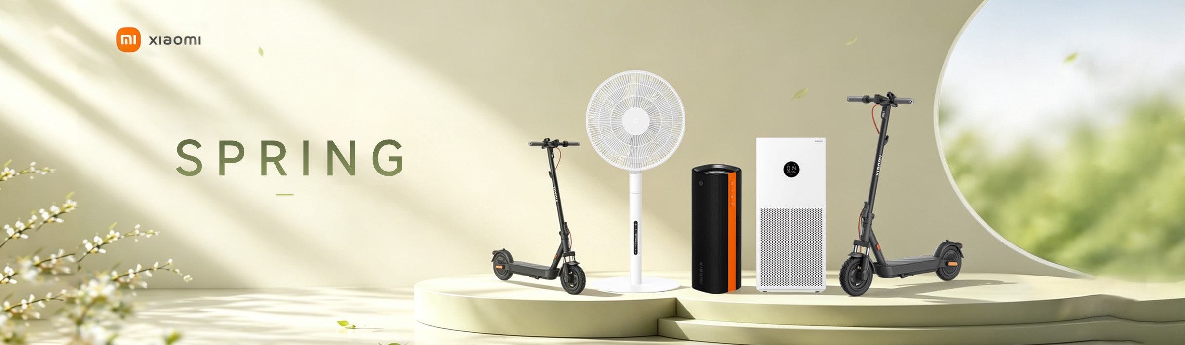 Mistore Spring Deal