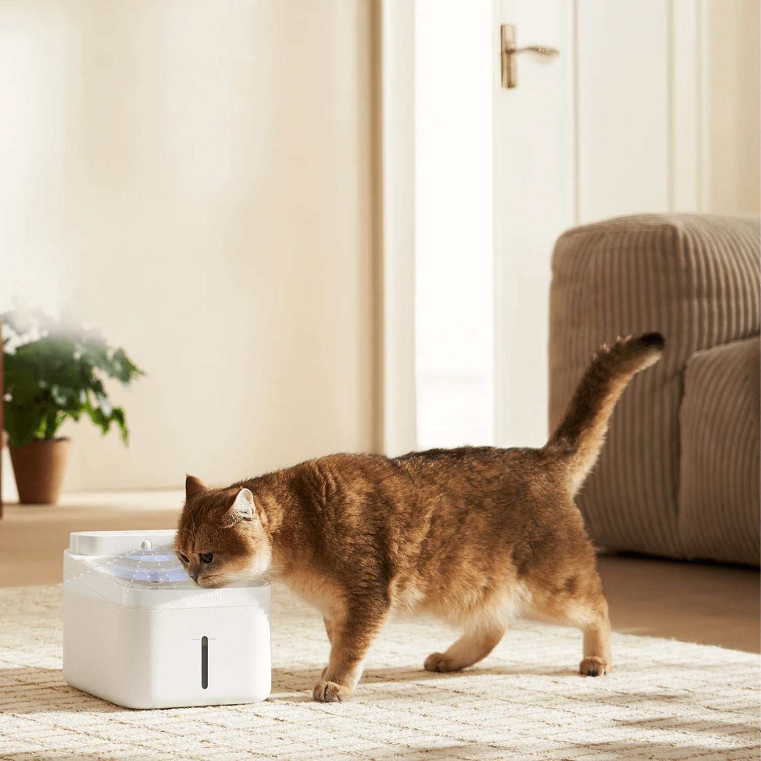 Xiaomi Smart Pet Fountain 2 EU