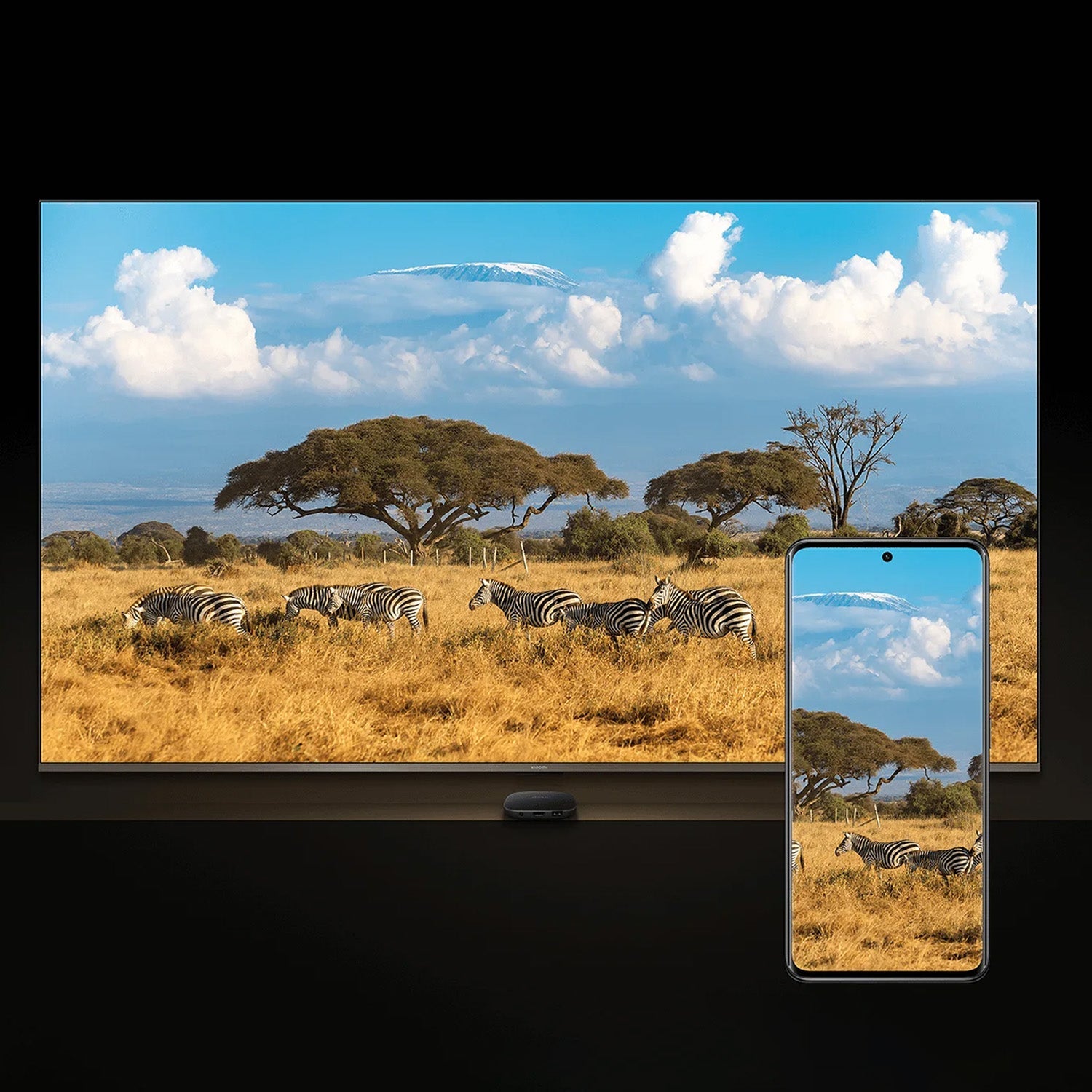 SCJX|63598|63598-xiaomi_tv_box_s_3rd_gen_eu-4.jpg