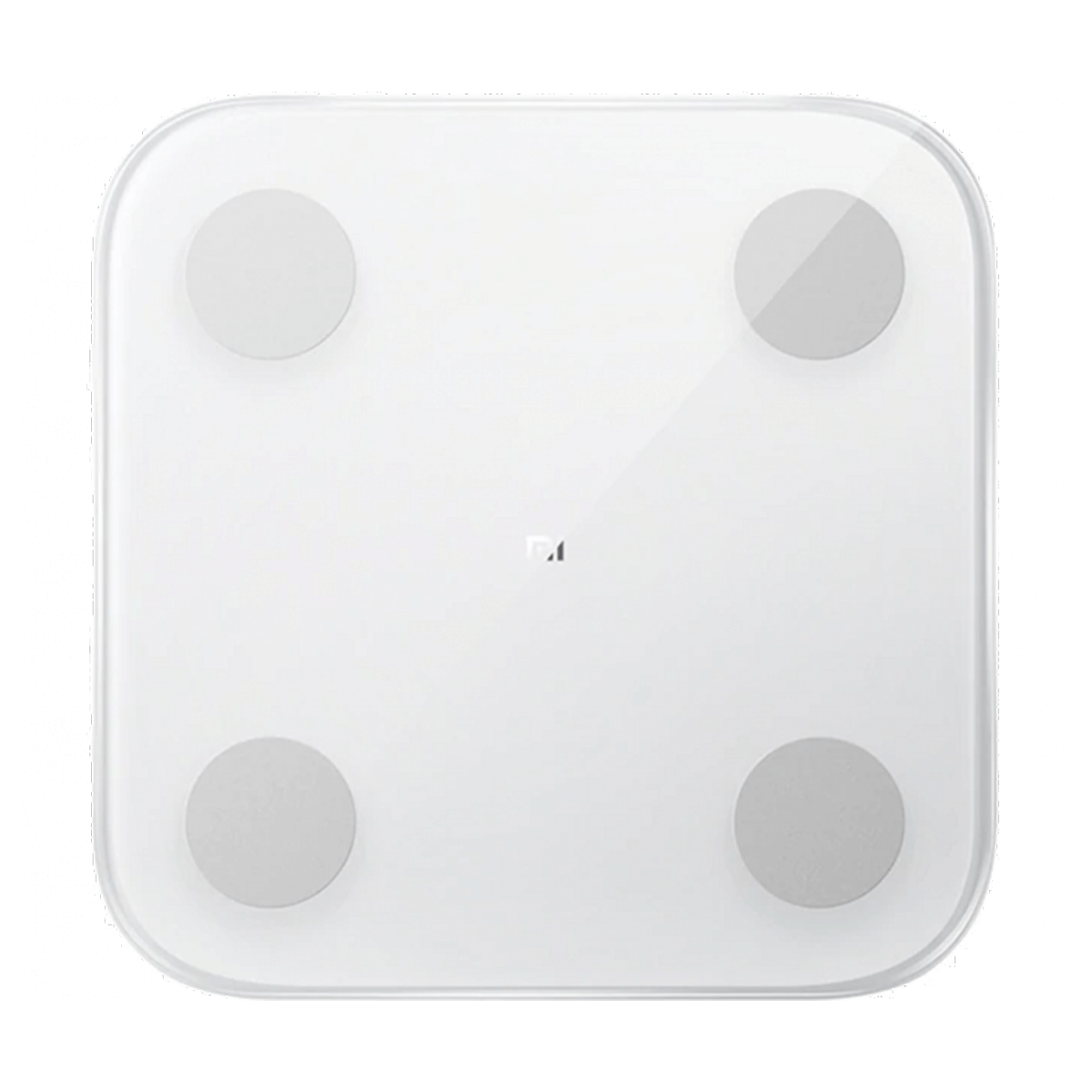 Mi kehonkoostumusasteikko 2