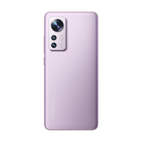 SCJX|D55222-B|l3-purple-4-1600px_1.png