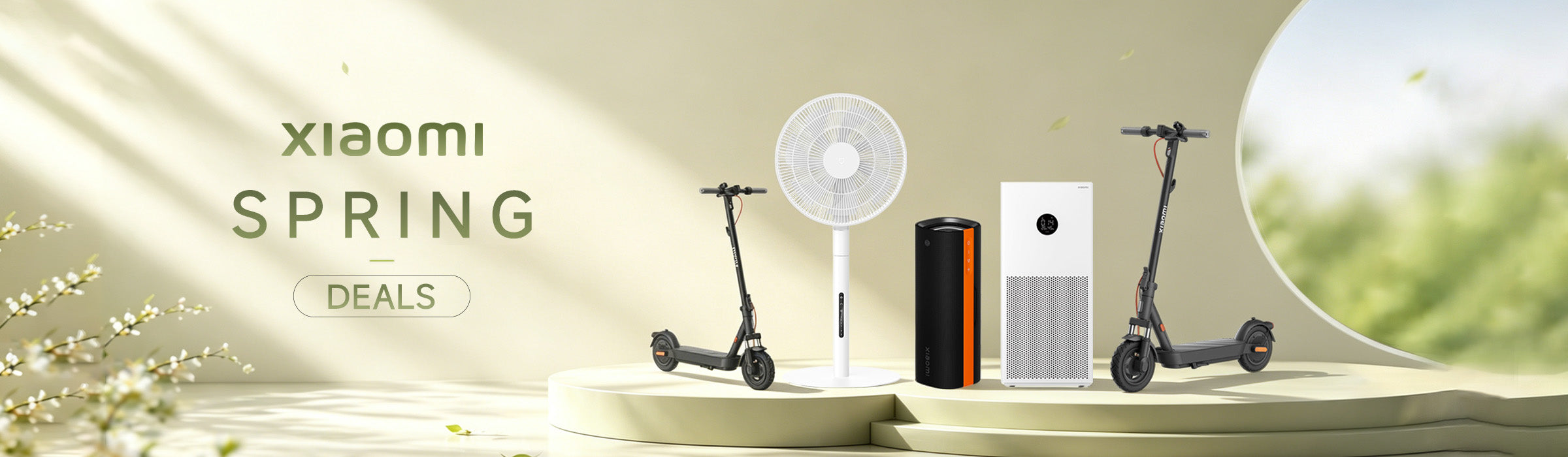 Mistore Spring Deal