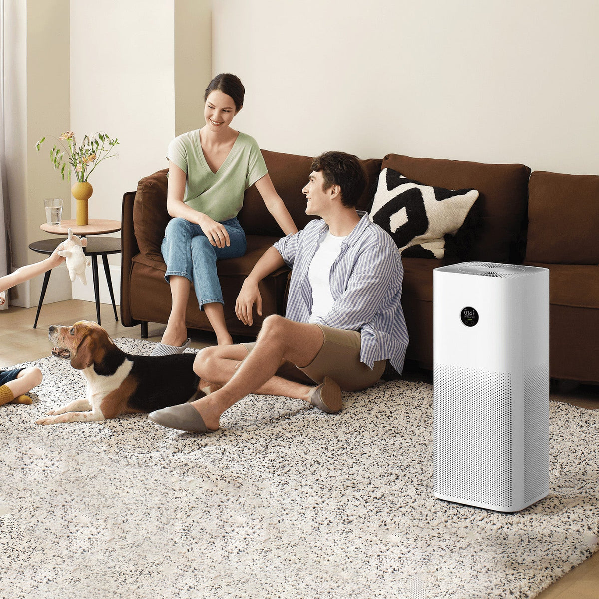 Xiaomi Smart Air Purifier 4 Pro-luokan C-luokka