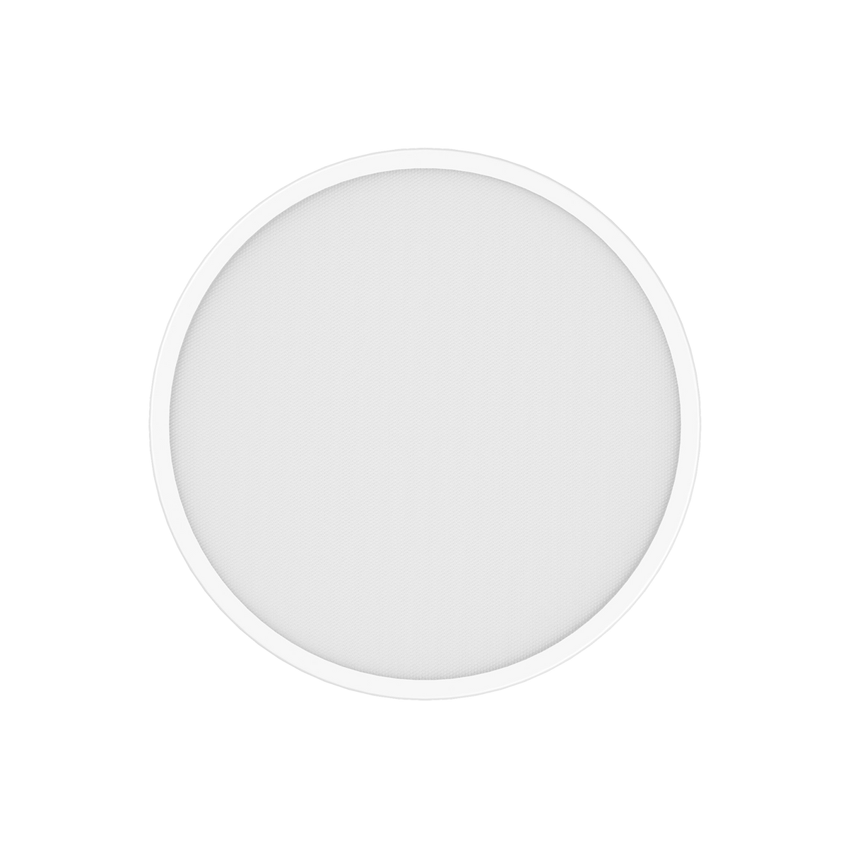 SCJX|62934-B|5_158d2829-e46f-4757-a4d4-9fafa775da8a.png