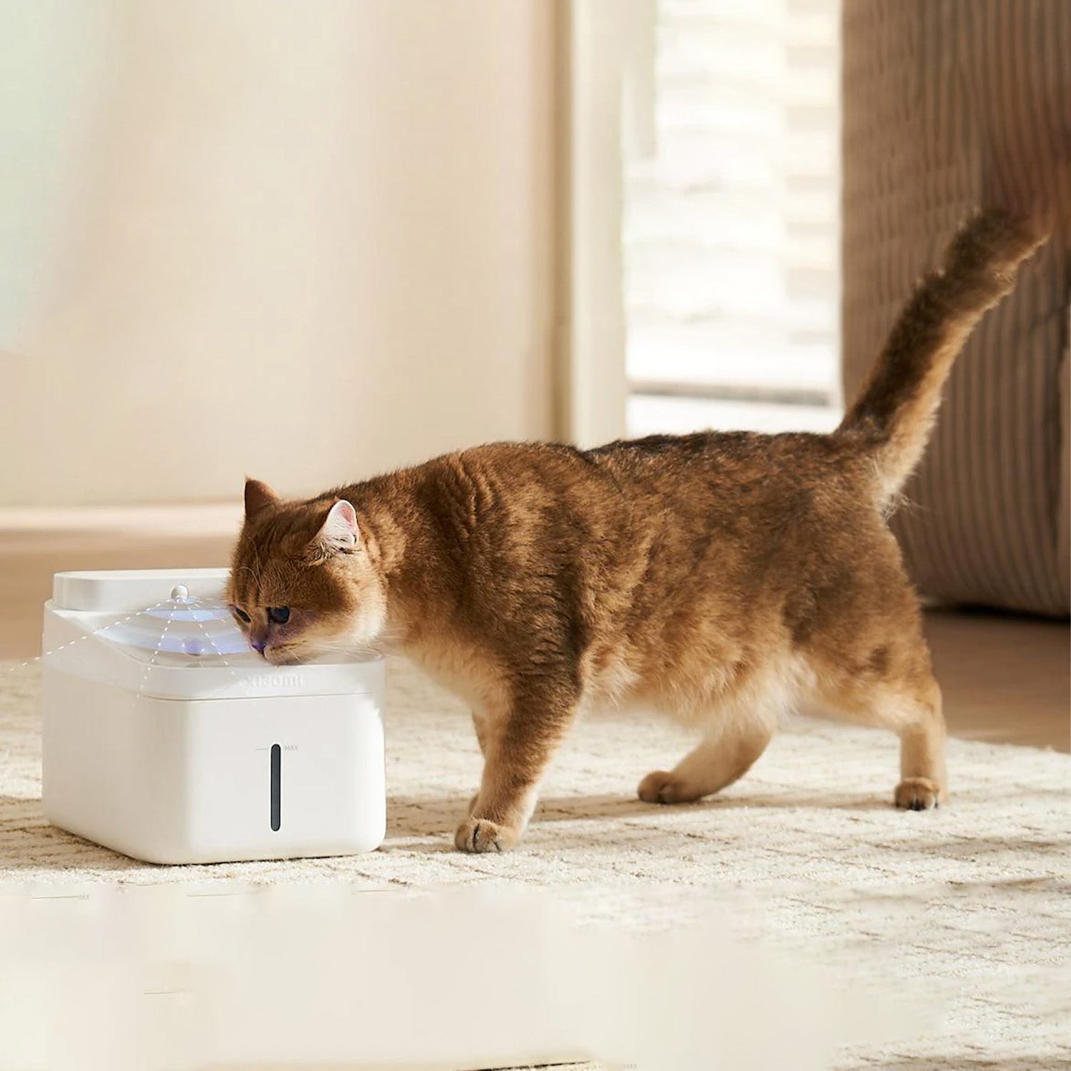 Xiaomi Smart Pet Fountain 2 EU