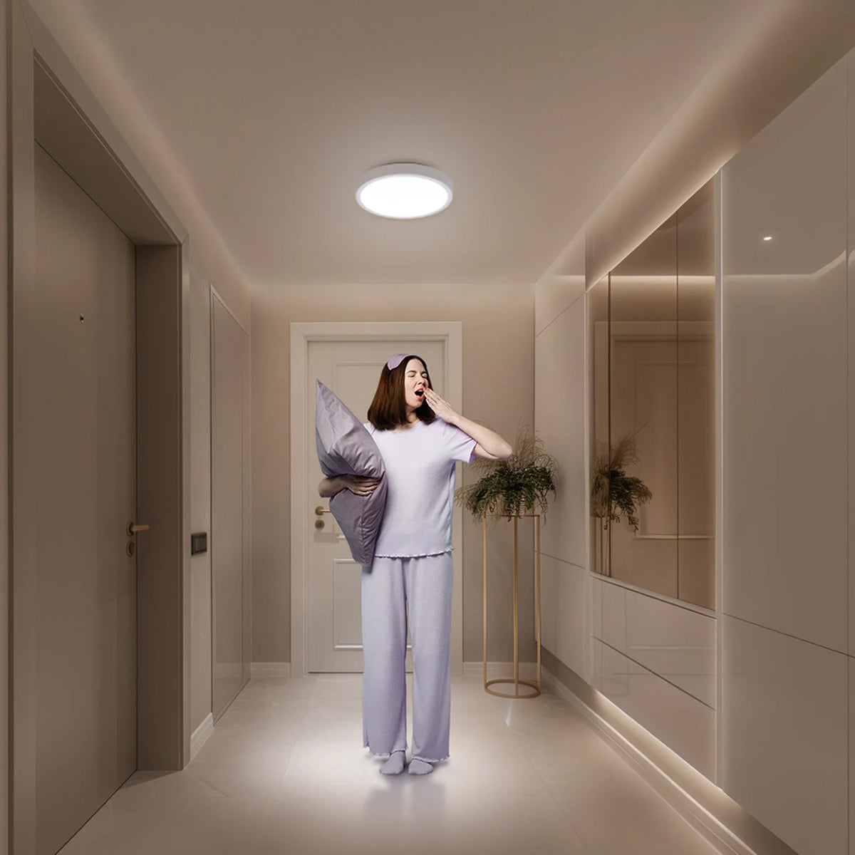 Xiaomi Smart Ceiling Light D20