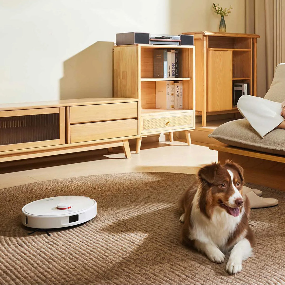 Xiaomi Robot Vacuum H50 EU