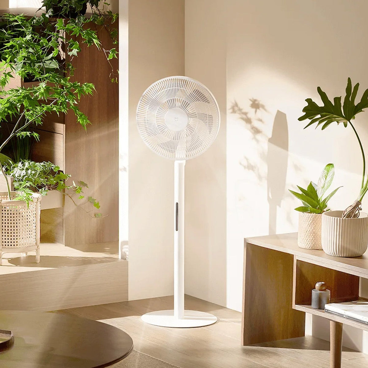 Xiaomi Smart Standing Fan Pro Slim EU - Class C