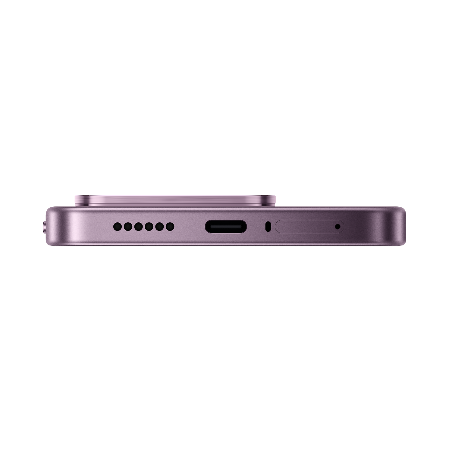SCJX|D76747|p12a_violet_bottom_r2.png