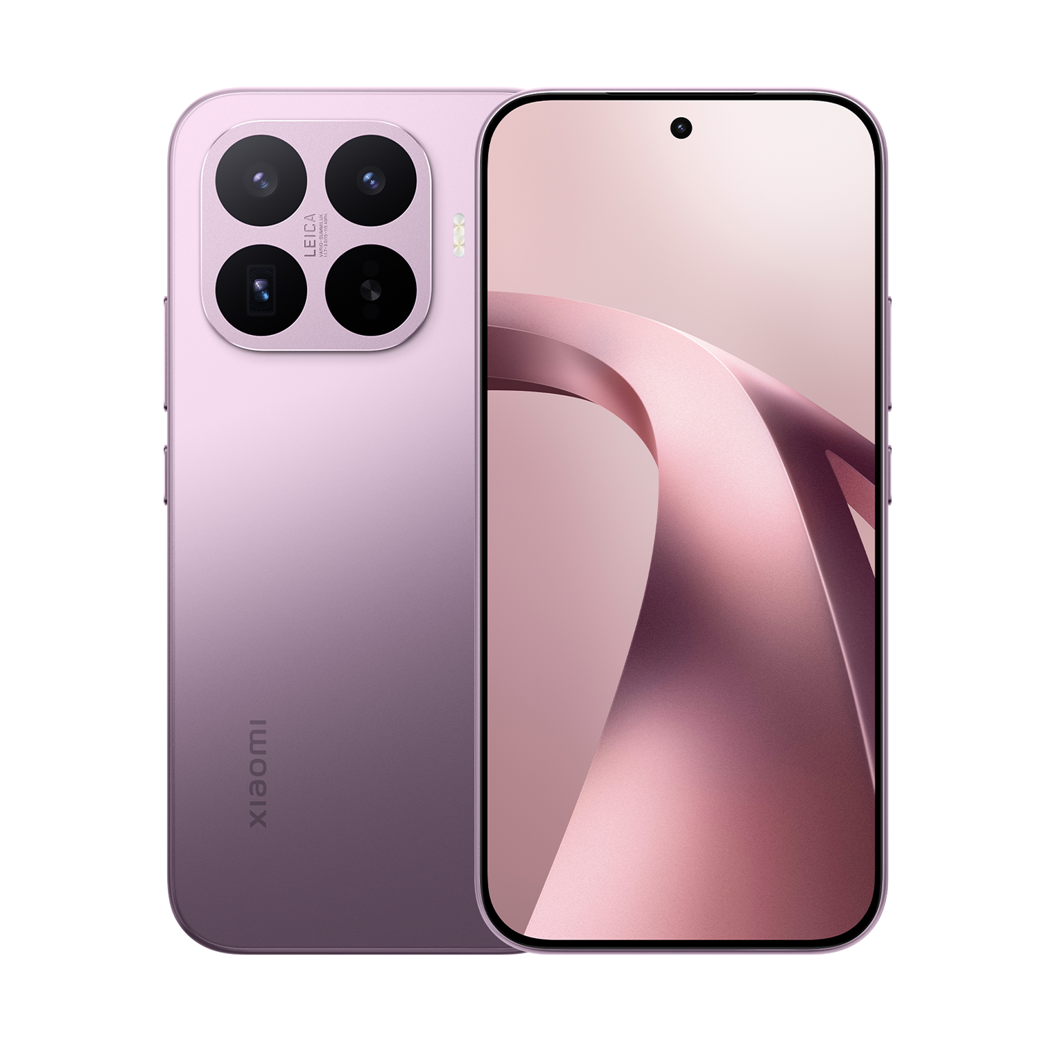 SCJX|D76747|purplep12a.png