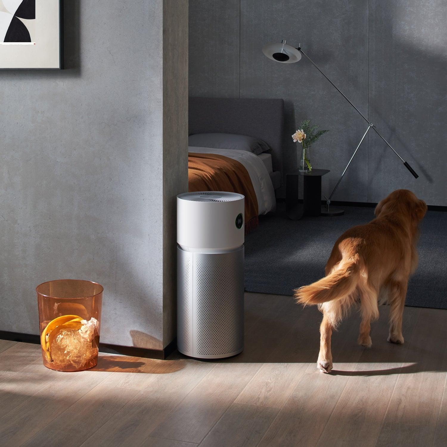 Xiaomi Smart Air Purifier Elite EU -luokan A pistorasiaan