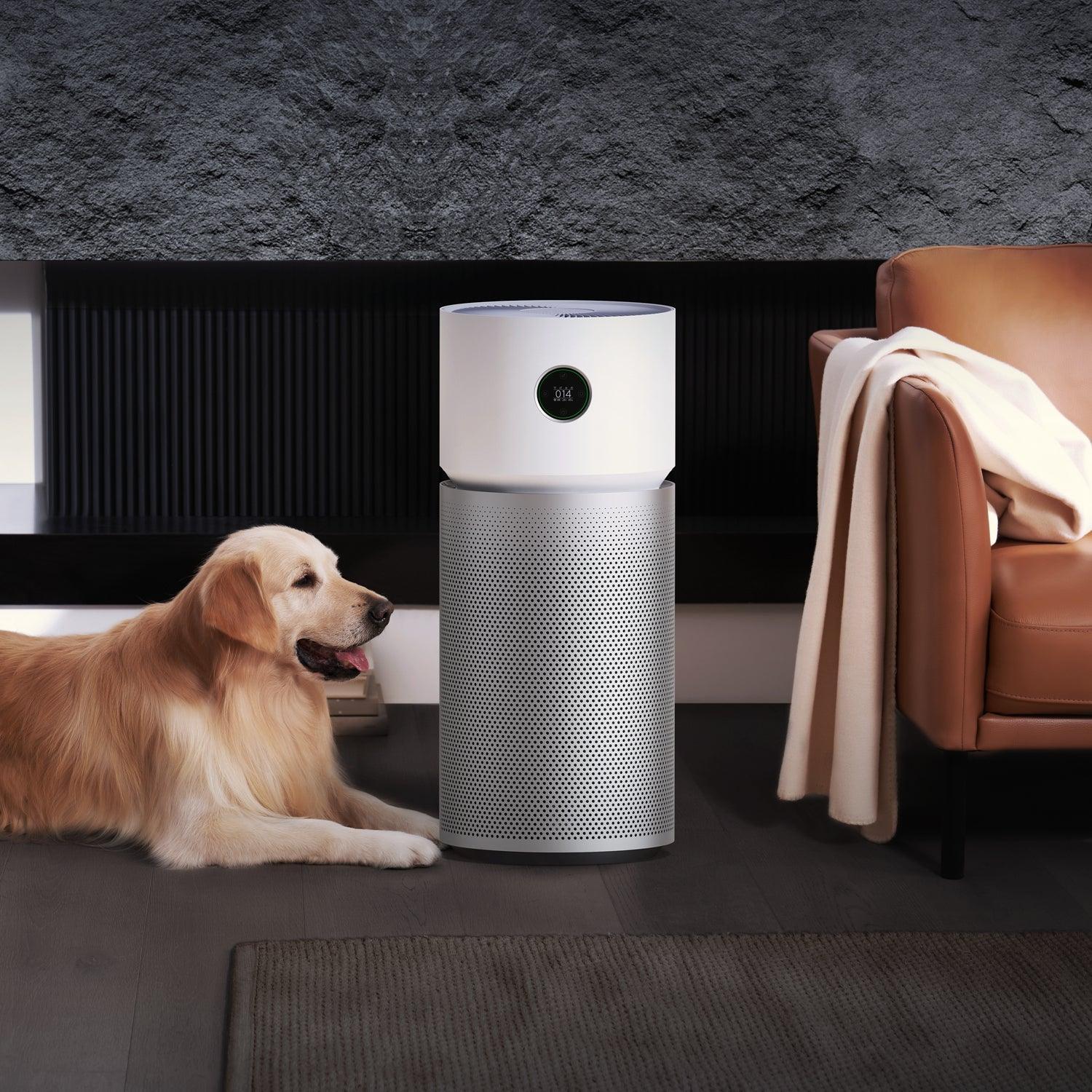 Xiaomi Smart Air Purifier Elite EU -luokan A pistorasiaan