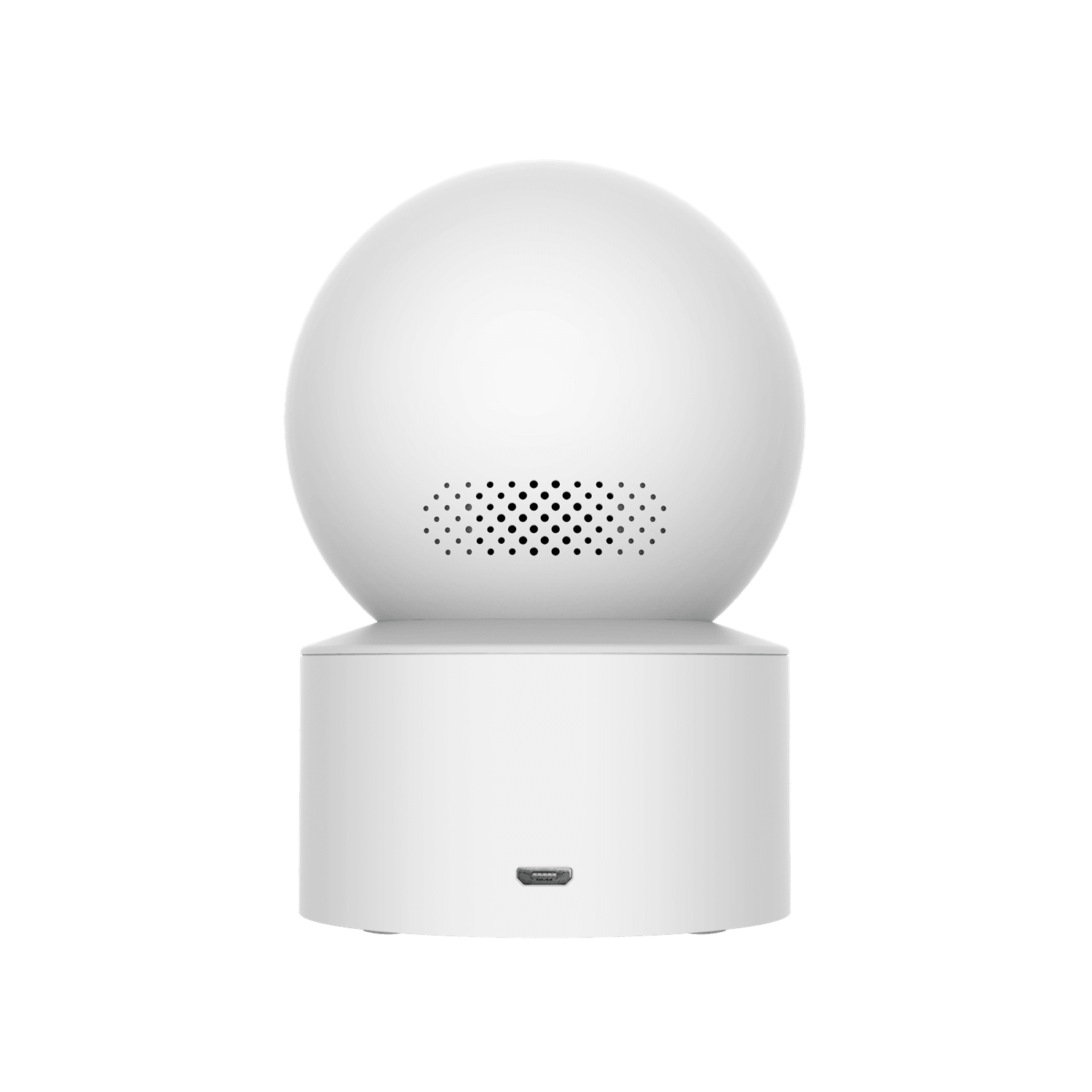 SCJX|43789-C|back_a61cf3c6-2f67-4b31-9fa9-e72585c0e963.png